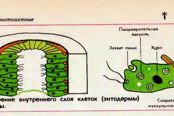 Каталог сайтов даркнет